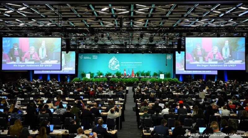Conferencia de la ONU sobre Biodiversidad (COP15) logra acuerdo histórico